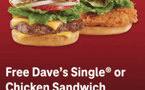 Score Free Food and a Chance at $500: Wendy's Survey Sweepstakes!